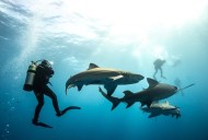 Gerardo del Villar: del miedo al mar abierto a un libro que busca sanar