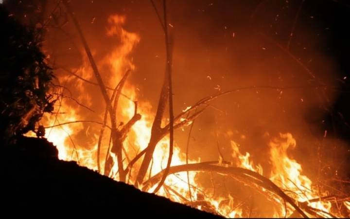 Fire breaks out near Guru Kelucharan Park in Bhubaneswar’s Damana area