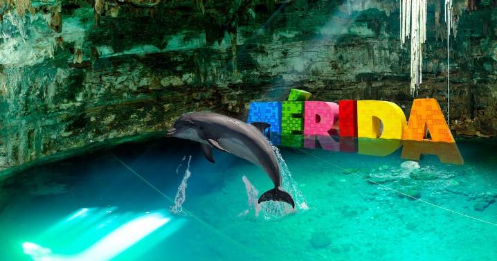 ¿Van a criar ‘delfines’ en Mérida?