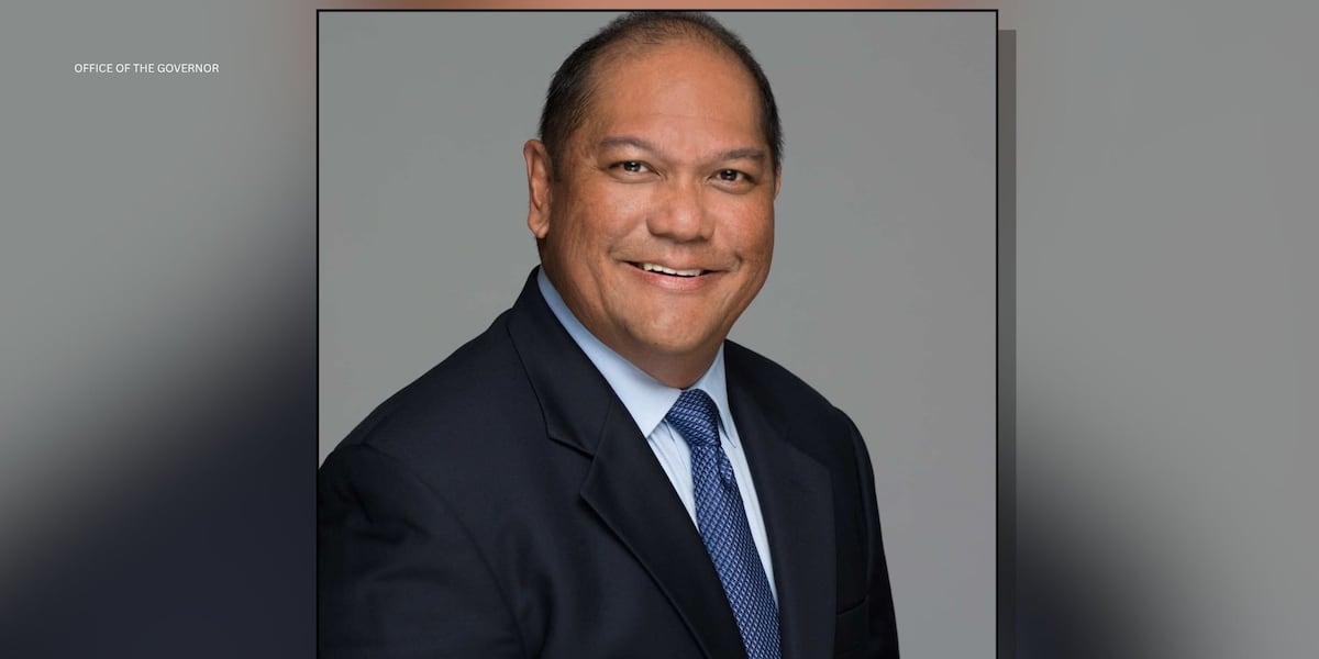 Hawaii utilities commission chair steps down