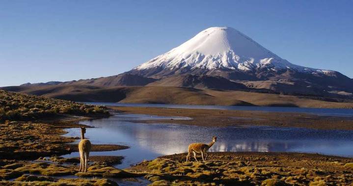 Cómo llegar al Parque Nacional Lauca: guía práctica para visitar uno de los lugares turísticos en Chile más impresionantes