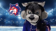 Watertown Wolves seek name for new mascot