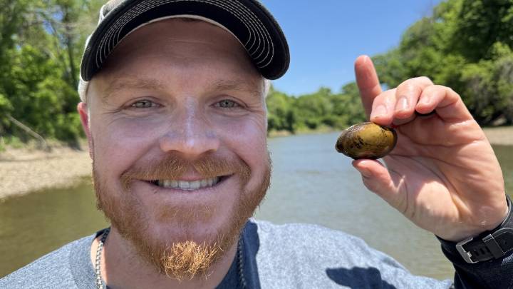 Kansas biologists are bringing back rare mussels, fish and turtles to our rivers