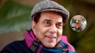 'Bhagwan Lambi Sehat De...': Dharmendra Shared THIS Message With His Fans In Last Instagram Video Before Hospitalisation