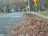 Jackson Fall Leaf Pickup Continues with Second Chance for Completed Zones
