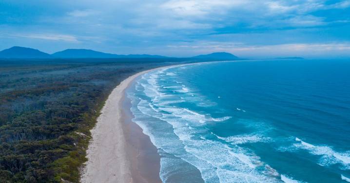 Australia shark attack leaves woman dead and man critical in horror double mauling