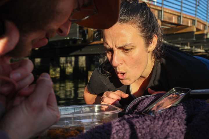 Foulin’ on the dock of the Bay: Inside a world of alien marine critters