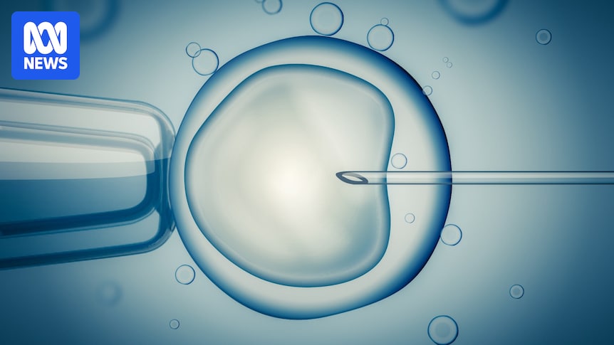The World Egg and Sperm Bank's proposed 'reward' scheme for IVF companies raises concerns