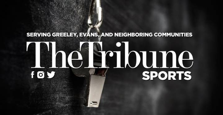 Roosevelt ascends to new heights, places second in state gymnastics