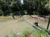 Persisten los riesgos ambientales tras derrame de diésel que afectó fuentes hídricas en Pitalito