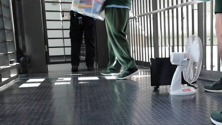 Inhumane conditions including cells riddled with roaches prompt WA judges to dish out softer prison sentences