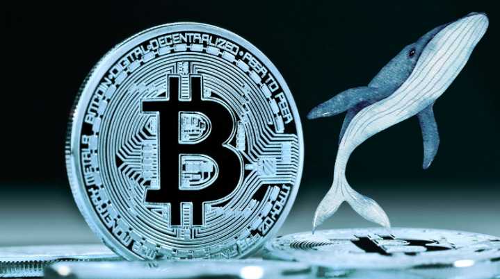 Prezzo di Bitcoin in Calo: "OG Whales" di BTC Vendono