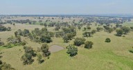 Berrilee: 974 acres of prime farmland on the Northern Tablelands