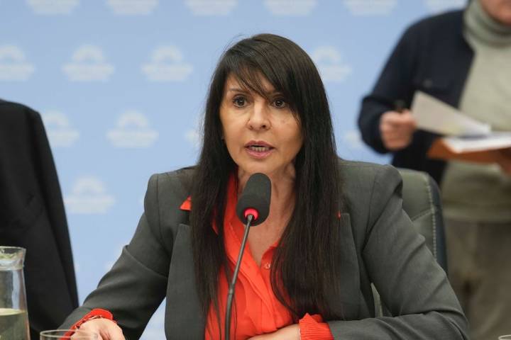 Tensión en el Congreso: la oposición quiere impedir que asuma una senadora electa de LLA