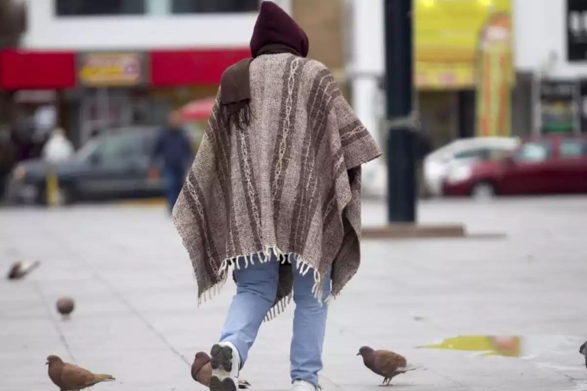 Primera tormenta invernal trae frío extremo y nevadas en México: Estos serán los estados más afectados