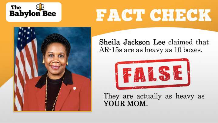 Rep. Sheila Jackson Lee Claimed AR-15s Are As Heavy As 10 Boxes. Fact Check: FALSE. They Are Actually As Heavy As Your Mom