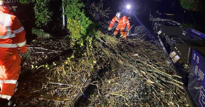 Storm Claudia floods Birmingham roads, topples trees and shuts schools in West Midlands