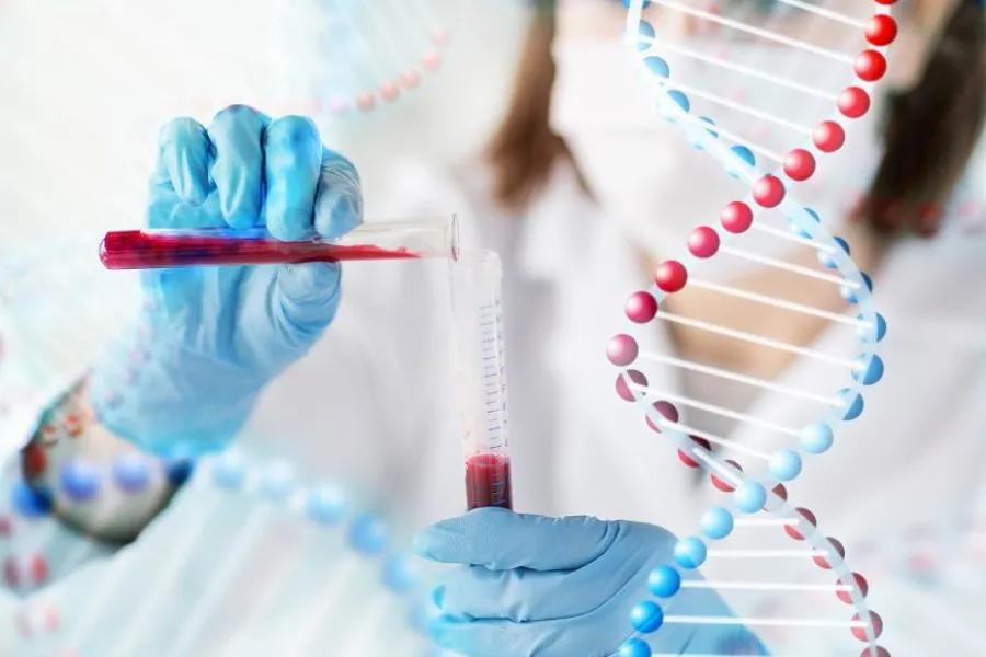 Identifican un gen único de los argentinos con más de 8.000 años de antigüedad