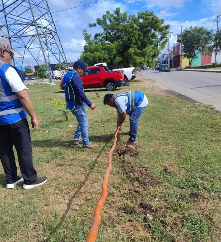 Retiro de ambulantes, un tema de seguridad