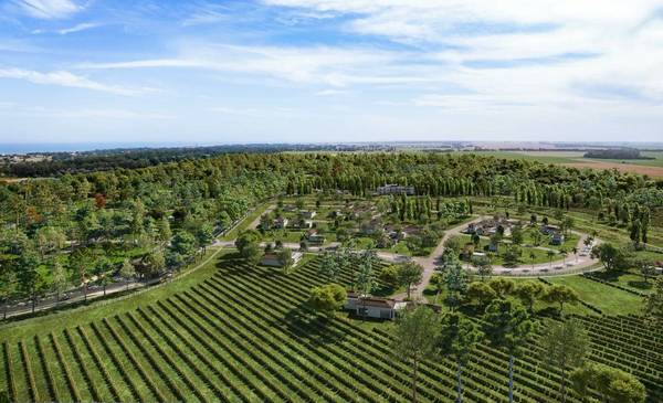 Se amplía la ruta de los vinos de mar: cómo llegar a los nuevos viñedos