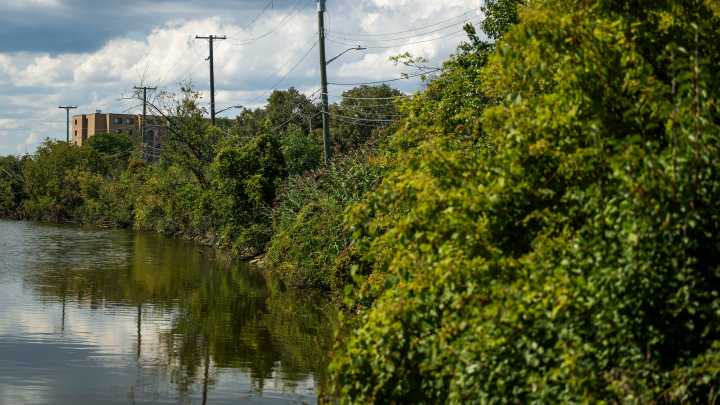 Mount Clemens fire dept. responds to white substance in Clinton River