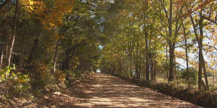 Driver runs away after police chase in Carroll County, Ark.
