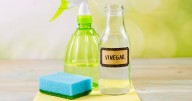 Cleaning expert shares 3 areas of home where you should never use white vinegar