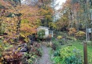 Sweden sees silent forests as sanctuaries from a noisy world