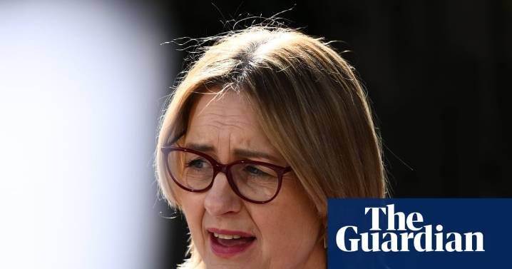 Children could face life sentences for serious offences under Victorian government ‘adult time’ plan