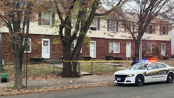 Shooting investigation in New Haven: police