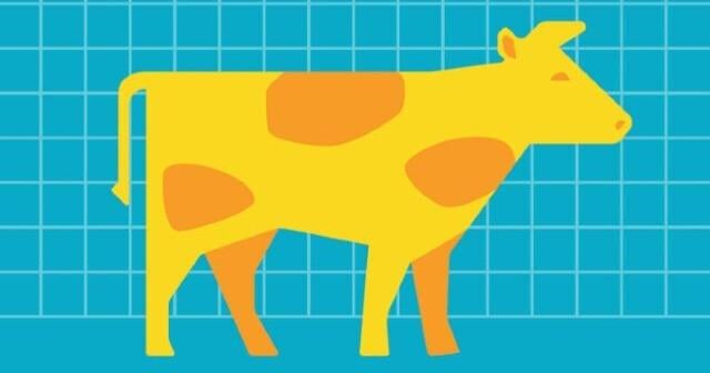 Iowa State Fair offers festive gifts: Tickets and cookies for 2026