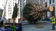 El emblemático árbol de Navidad del Rockefeller Center llegó a Nueva York: ¿Cuánto mide en 2025?