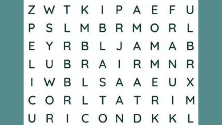 ¿Eres un verdadero cinéfilo? Encuentra las 5 palabras ocultas en solo 5 segundos