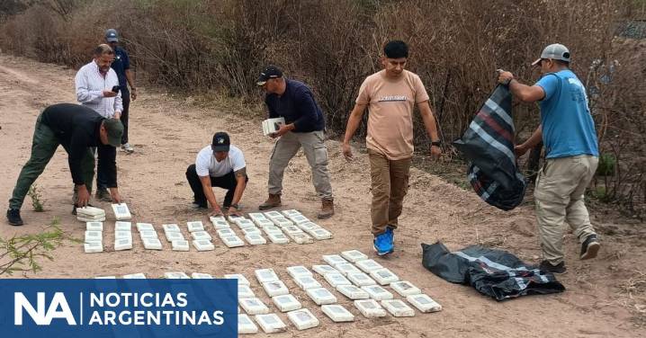 Decomisaron más de 300 kilos de cocaína de la avioneta que cayó en Salta