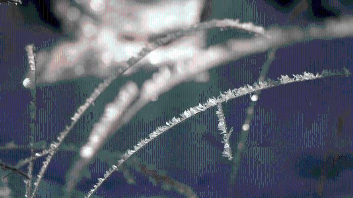 Freezes & fireballs across the Ozarks