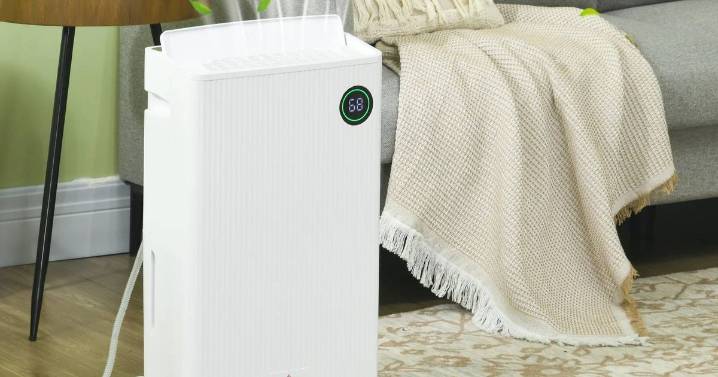 Large dehumidifier that tackles damp plummets in double Black Friday deal