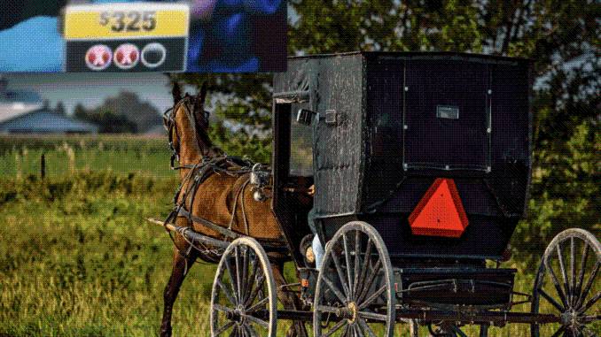 Amish Man Can't Figure Out Why He Got This 'Carbon Tax Relief' Cheque