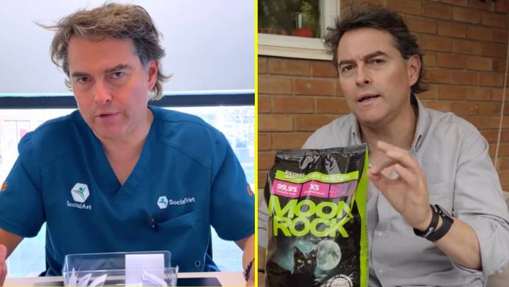 Sebastián "Lindorfo" Jiménez ingresa a un nuevo negocio enfocado en los gatos: ¿De qué se trata?