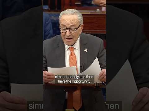 Schumer Unveils Democrats' Proposal to End Shutdown