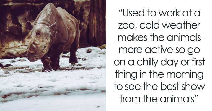 55 People Who Have Worked in A Zoo Share Things That Non