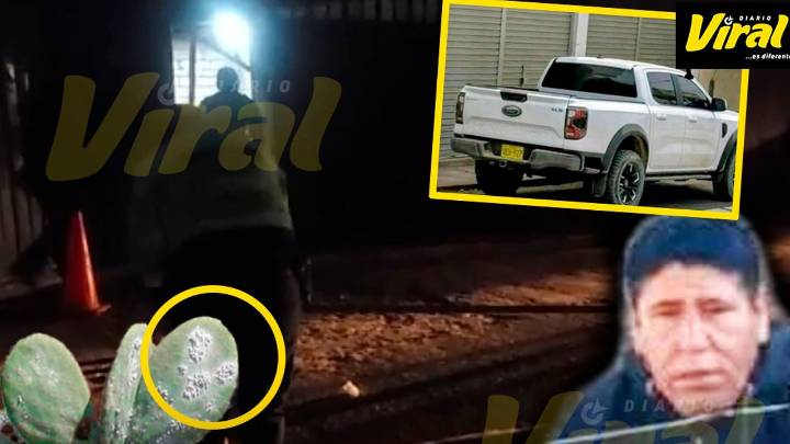 Reportan presunto asesinato de empresario de cochinilla en La Joya