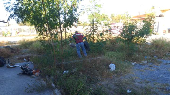 Cumple Gobierno de Reynosa mantenimiento y limpieza de la ciudad