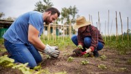 Want To Get Into Native Gardening? Use These Resources To Get Started