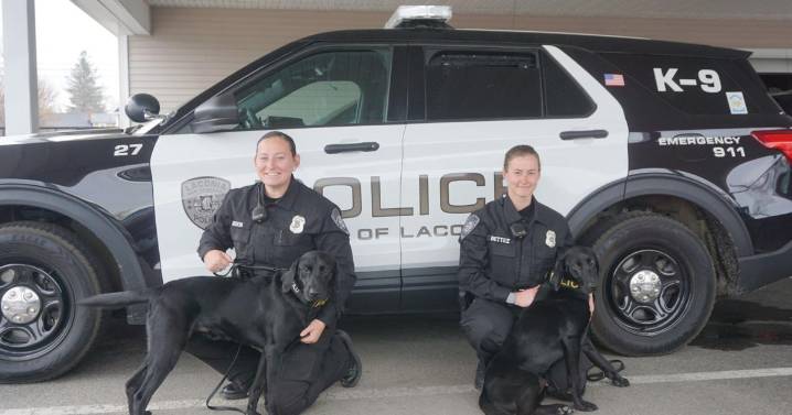 Zulu and Voodoo continue LPD’s K9 program