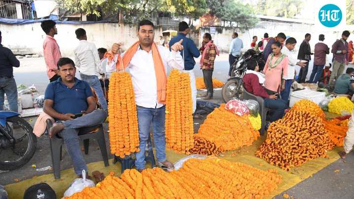 Bihar 2025 election result tomorrow: Between ladoos and exit polls, EC on toes