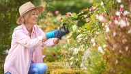 14 Useful Tools That Make Gardening In Your 50s And 60s Easier