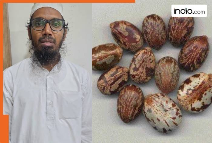 Mohiuddin was making a chemical more dangerous than cyanide, planning a big attack: Gujarat ATS