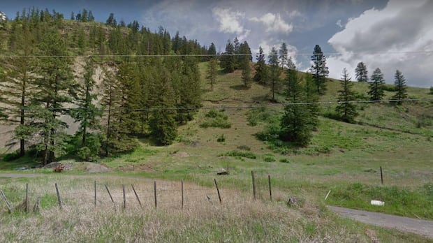 A B.C. township sold off a man's property over $6,700 in unpaid taxes. Now it's been ordered to pay him $350K