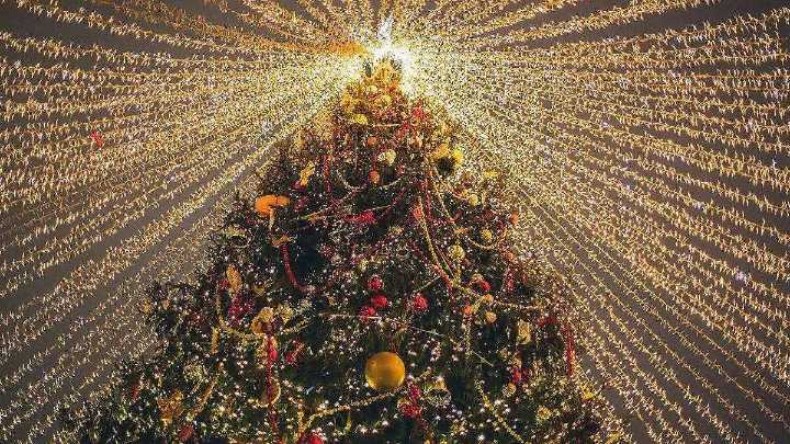 Realizan invitación para participar en el Primer Árbol Navideño Comunitario