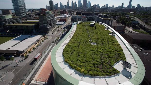 Ontario's scrapping of Toronto's green roof bylaw has opposition MPPS, advocates seeing red